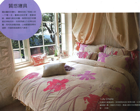 Castex Living 上市記者會
